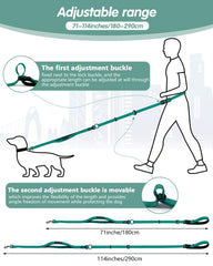 Wanfire laisse chien avec ceinture voiture connectable pour trajets sécurisés.