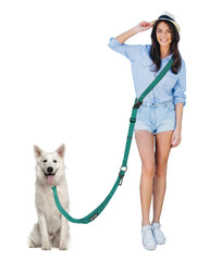 Laisse WANFIRE mains libres verte prête pour une promenade pratique.