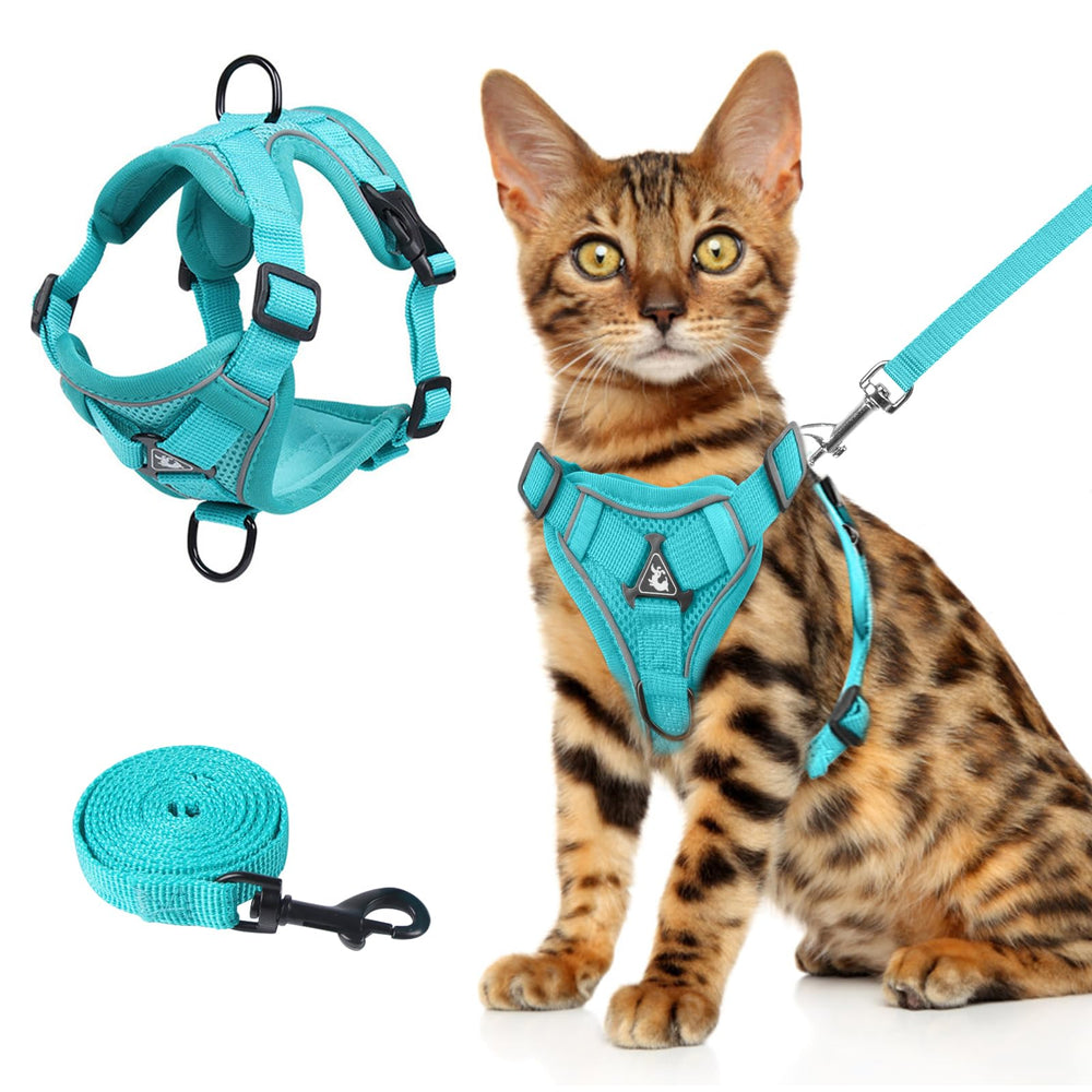 Harnais Wanheart pour chat émeraude Taille L, confort respirant pour les sorties.