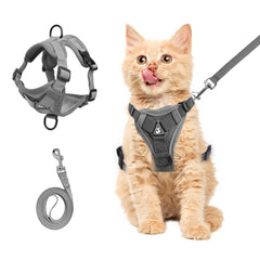 Harnais Wanheart pour chat avec poitrine anti-évasion, sécurité lors des sorties.