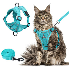 Harnais Wanheart pour chat, poitrine été emeraude XL, port confortable lors des sorties.