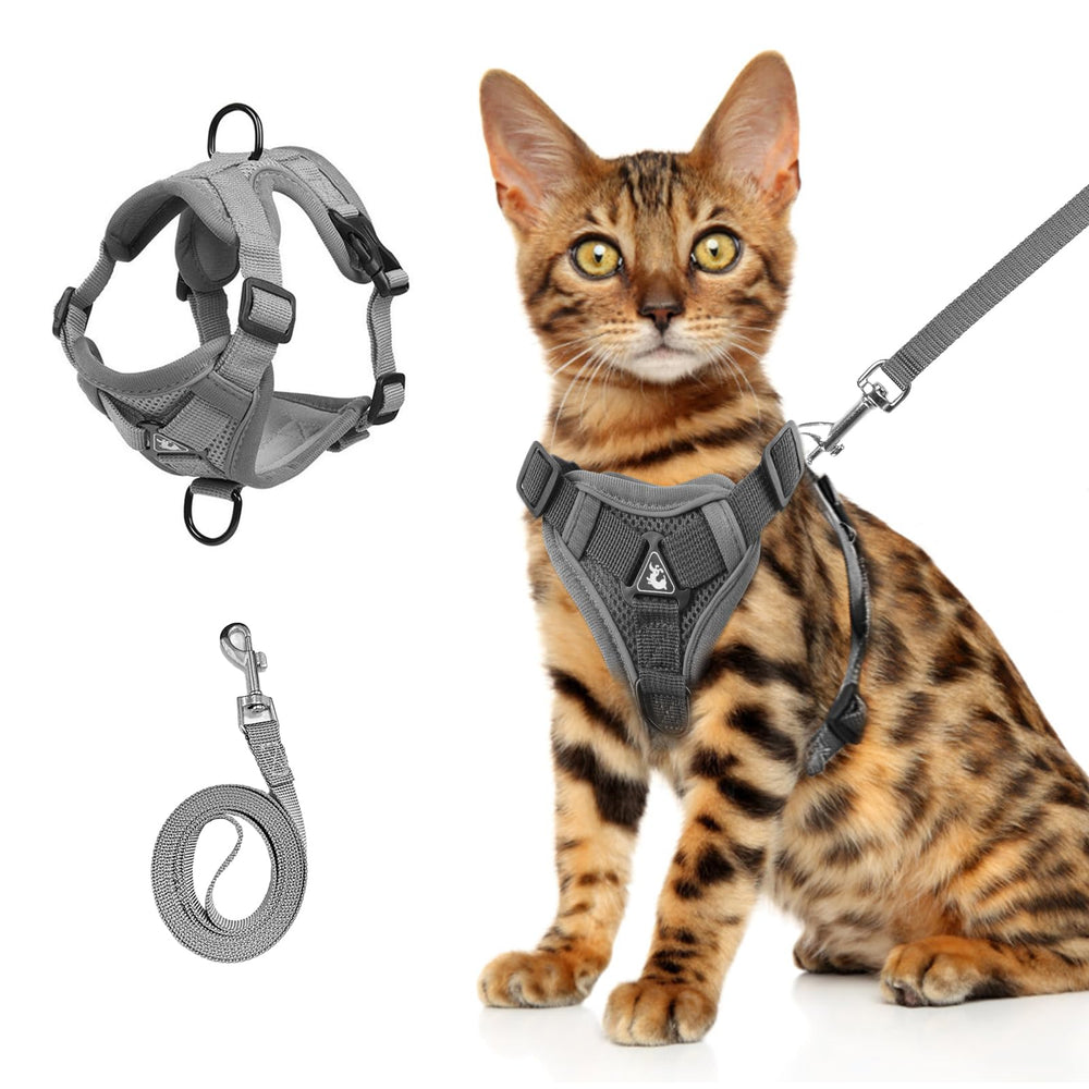Harnais Wanheart pour chat gris, confort respirant pour sorties quotidiennes.