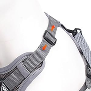 Pack harnais et laisse Wanheart, kit pratique pour les balades en extérieur.