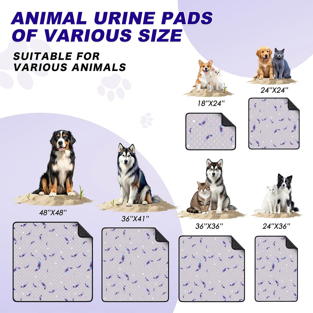 Utilisations polyvalentes WanpeeGoo: maison et voiture pour protéger les surfaces.