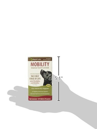 Wapiti Labs Velourselan Mobilité chien – velours d’élan comme ingrédient clé.