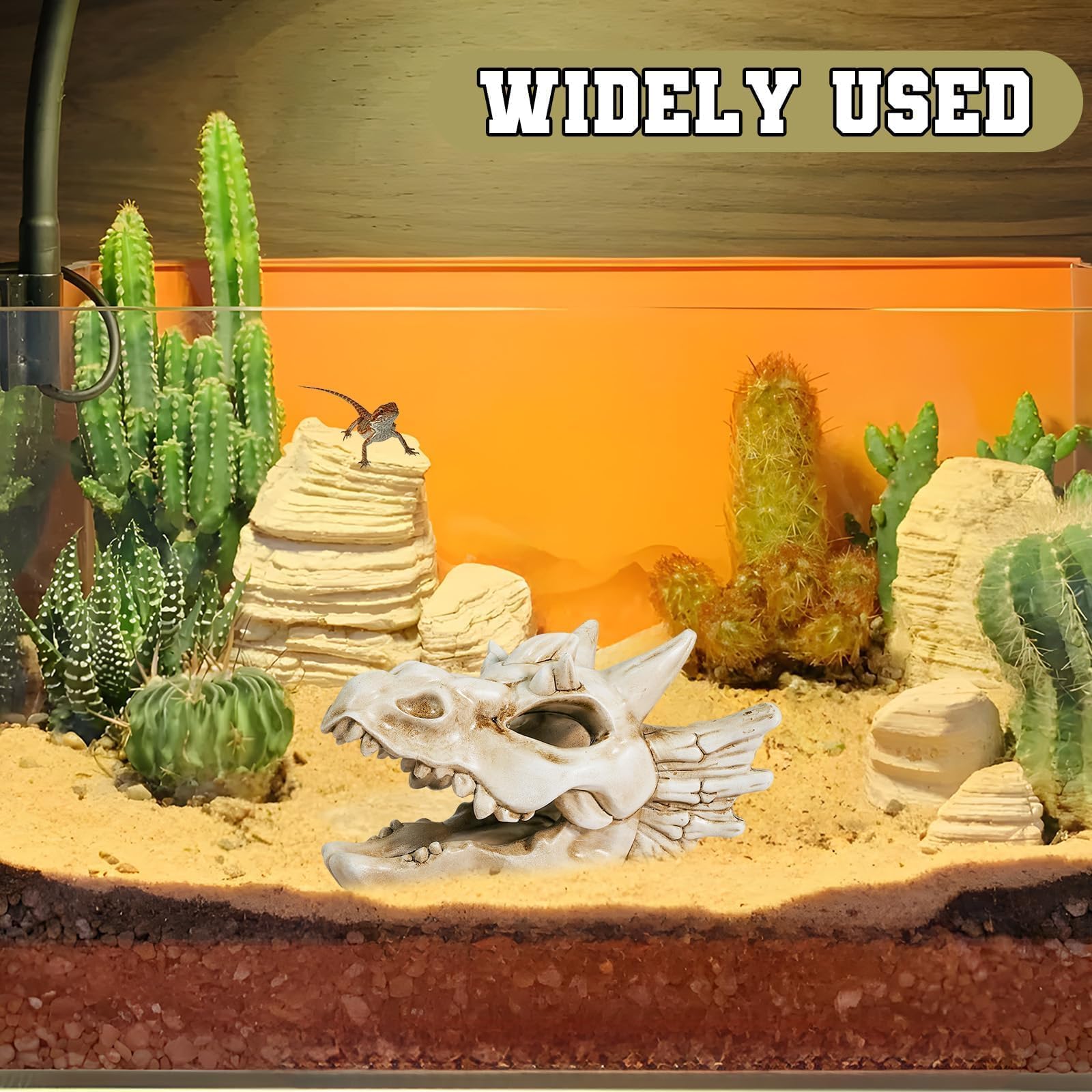 Warmtree crane-de-dinosaure-terrarium : ajoute une touche naturelle dans terrarium.