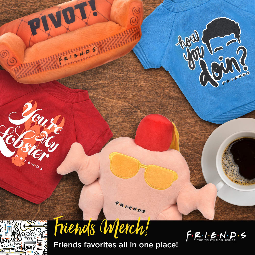 Jouet Central Perk par Warner Bros, cadeau idéal pour fans et leurs chiens.