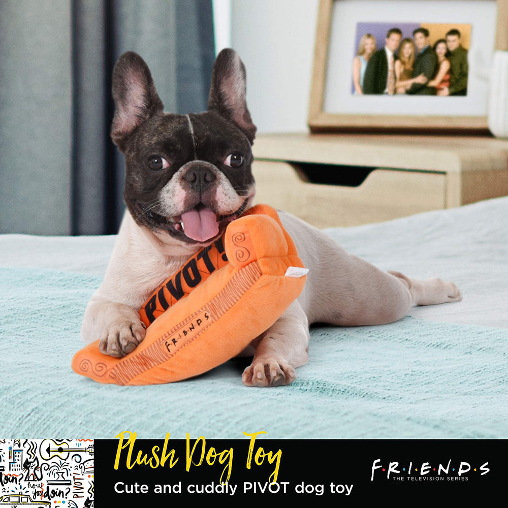 Jouet chien peluche avec sifflet, Warner Bros Amis, divertissement.