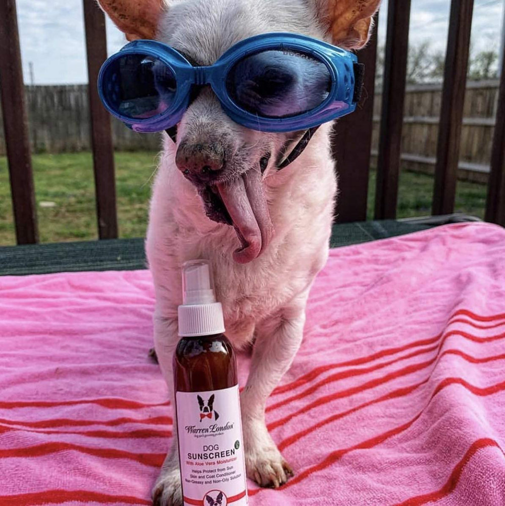 Pack double Warren London – économie pour protéger votre chien au soleil.