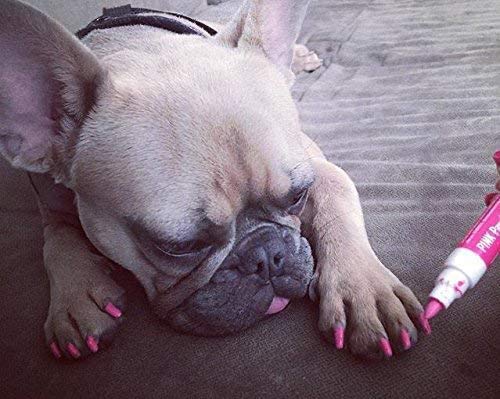Pawdicure Warren London: stylo-vernis-ongles-chien-paillette, effet brillant.