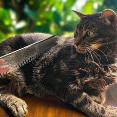 Warren London peigne-chat pointes arrondies pour un brossage doux et sûr