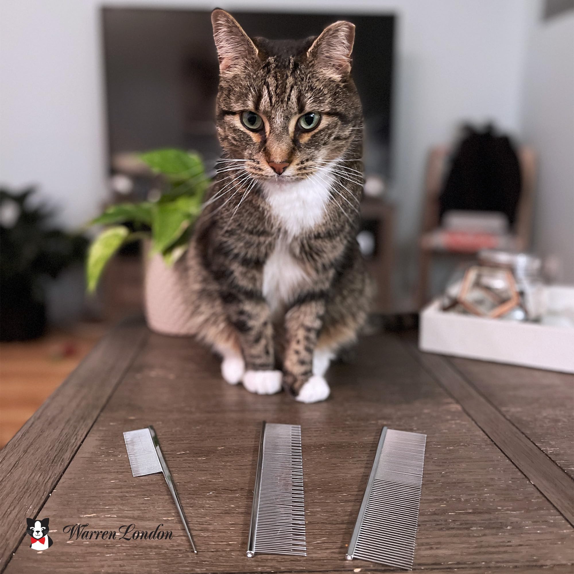 Warren London peigne-chat utilisation quotidienne adaptée à tous les pelages
