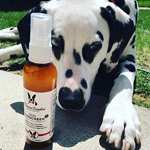 Séchage rapide du spray solaire Warren London – pas de gras ni traces.