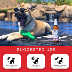 Soin peau Aloe Vera Warren London chien – apaise et hydrate après-soleil.