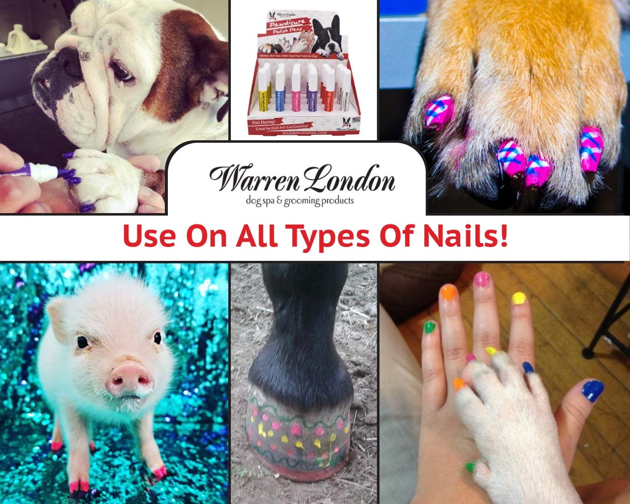 Vernis d’ongles Pawdicure pour décorations Halloween chez le chien.