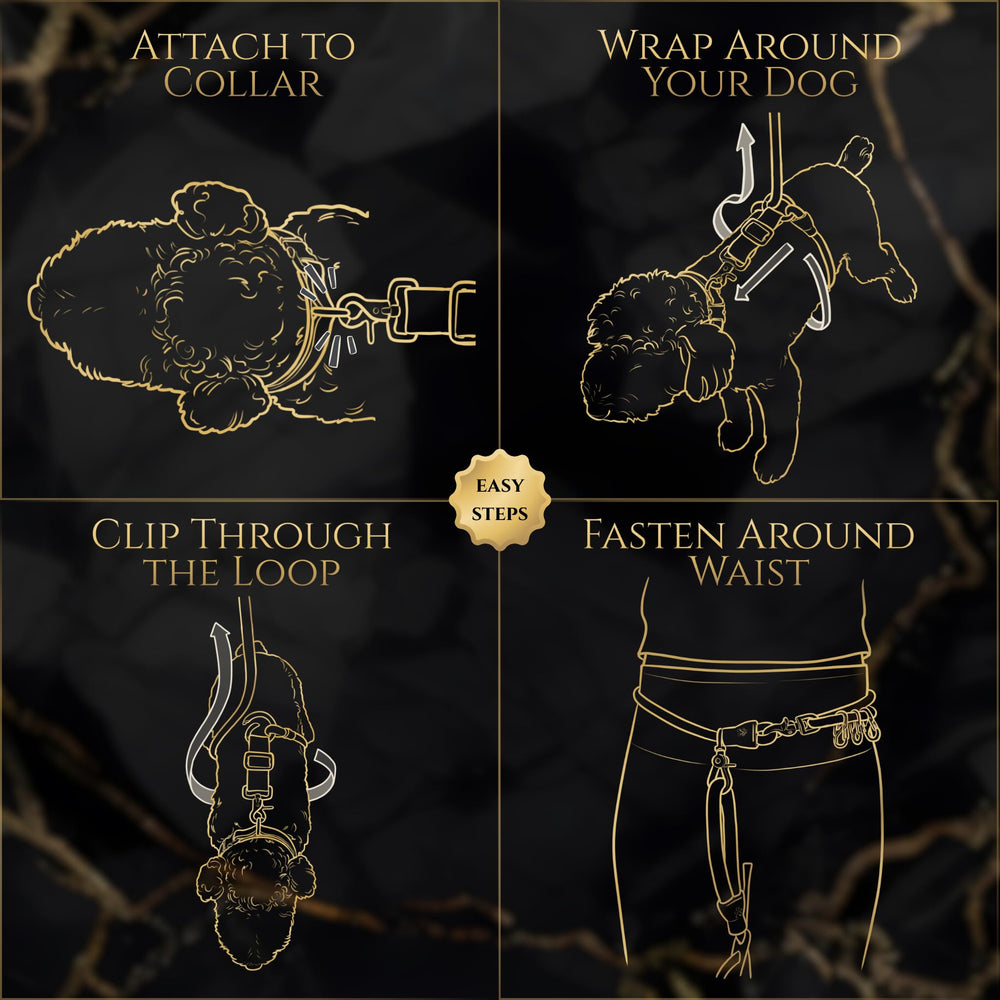 Wasatch Pup Calm Command, ceinture ajustable et attaches multiples pour flexibilité.