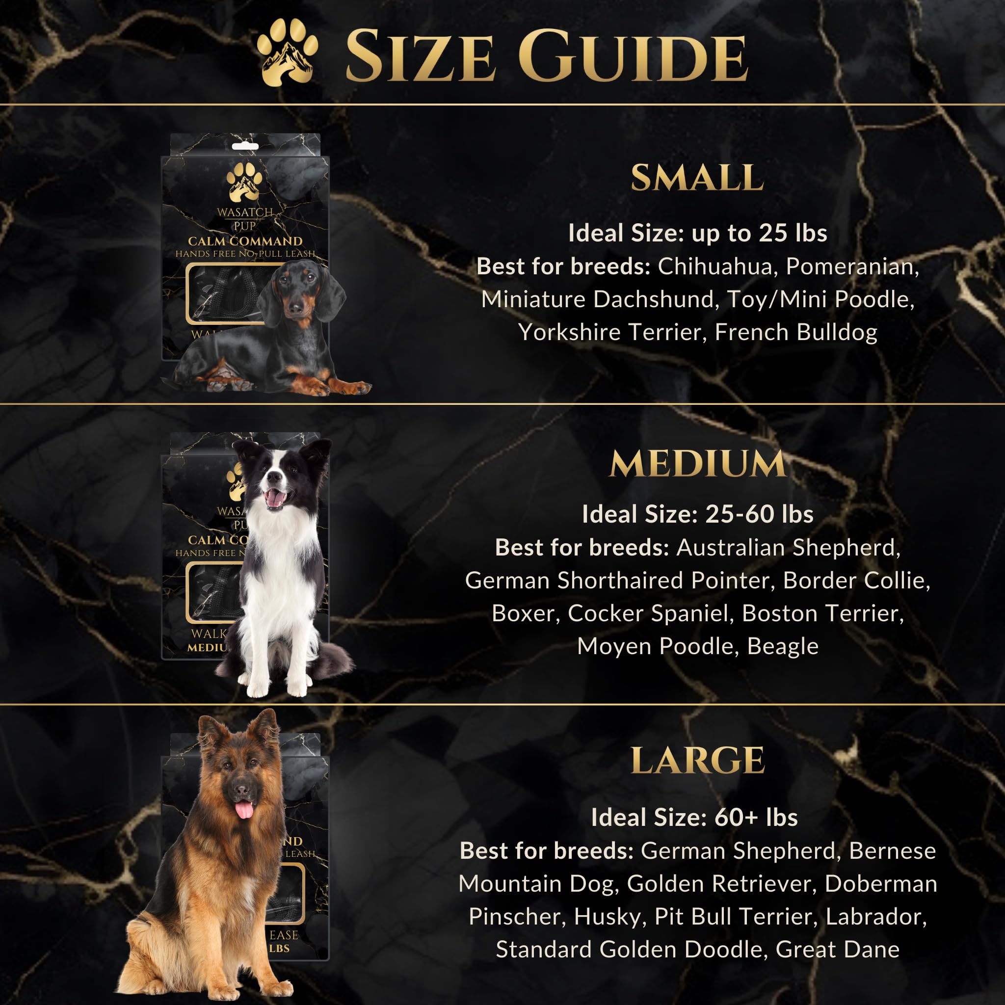 Wasatch Pup – système d’attache multipoints pour une polyvalence maximale.