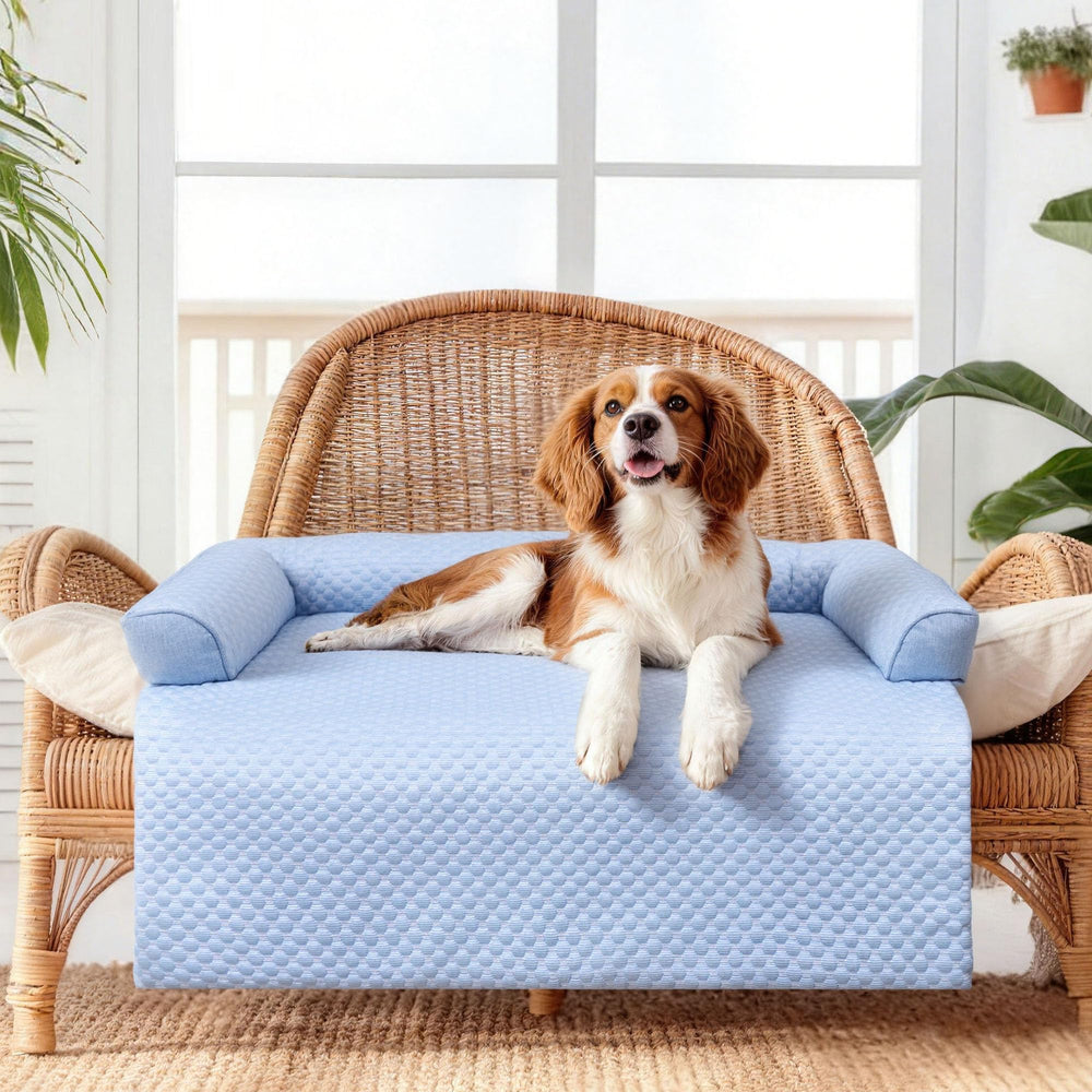 Design bleu Wataniya Pet apporte style et confort a votre interieur