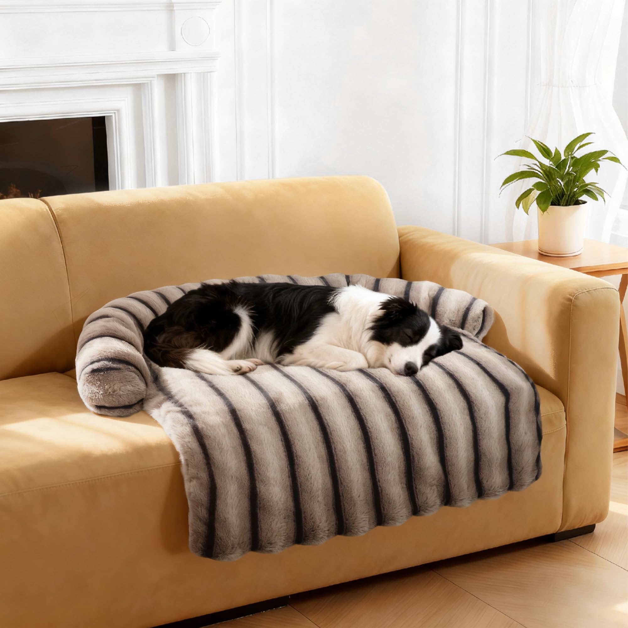Produit disponible en trois tailles pour chiens de toutes tailles