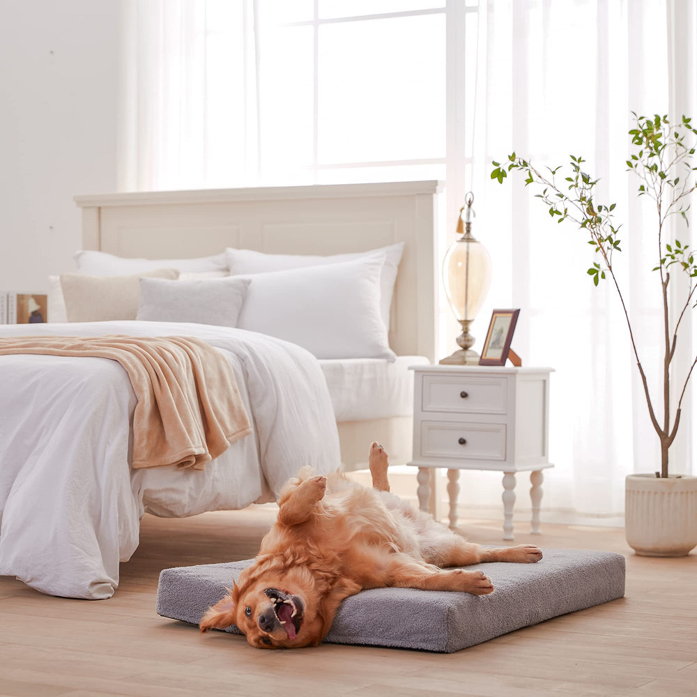 Tailles multiples Wataniya Pet, couchage adapté à la race et au poids.