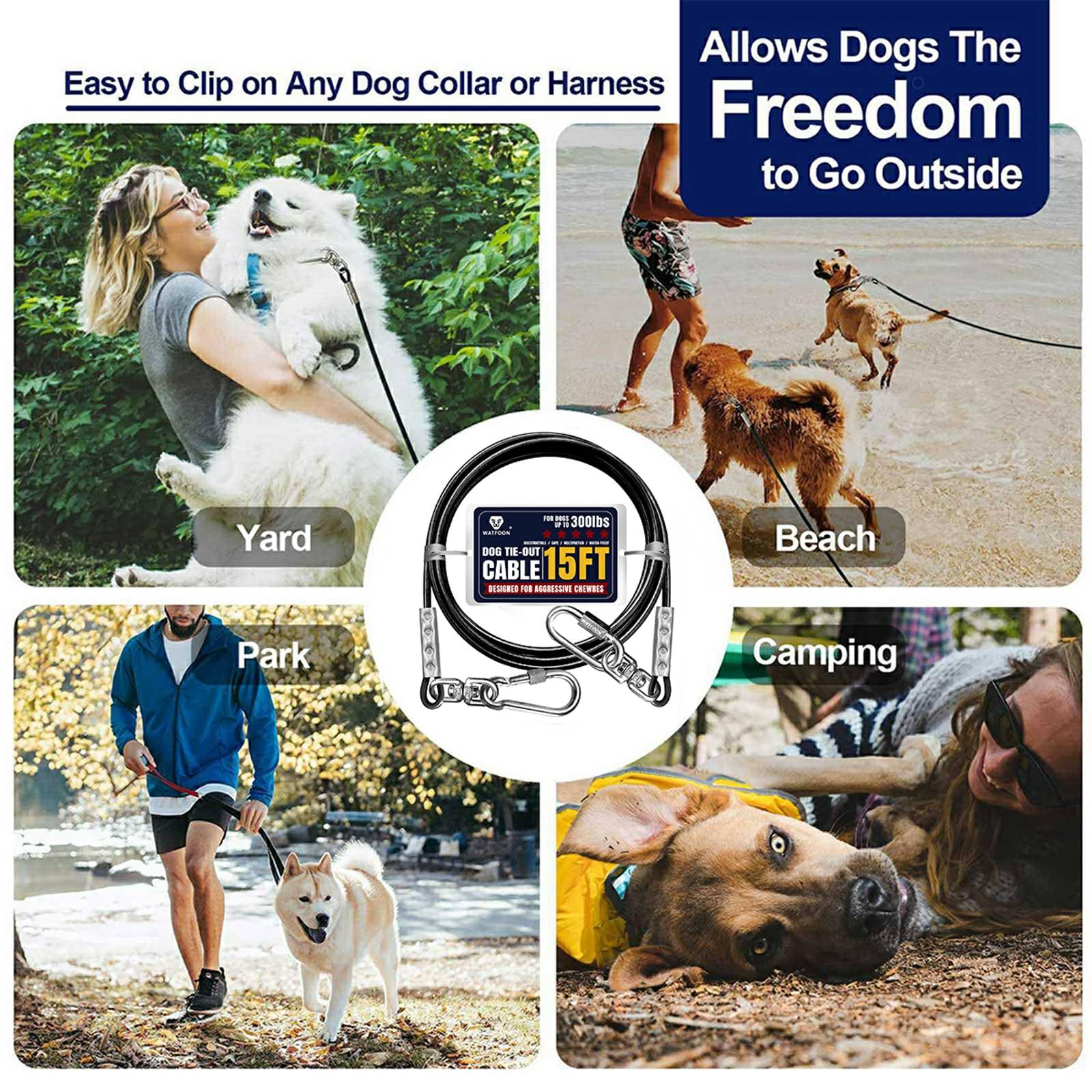 Aventure en plein air avec Watfoon câble tie-out pour chien.