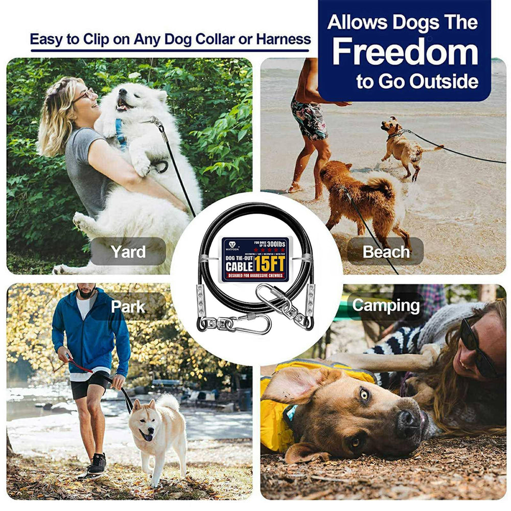 Aventure en plein air avec Watfoon câble tie-out pour chien.
