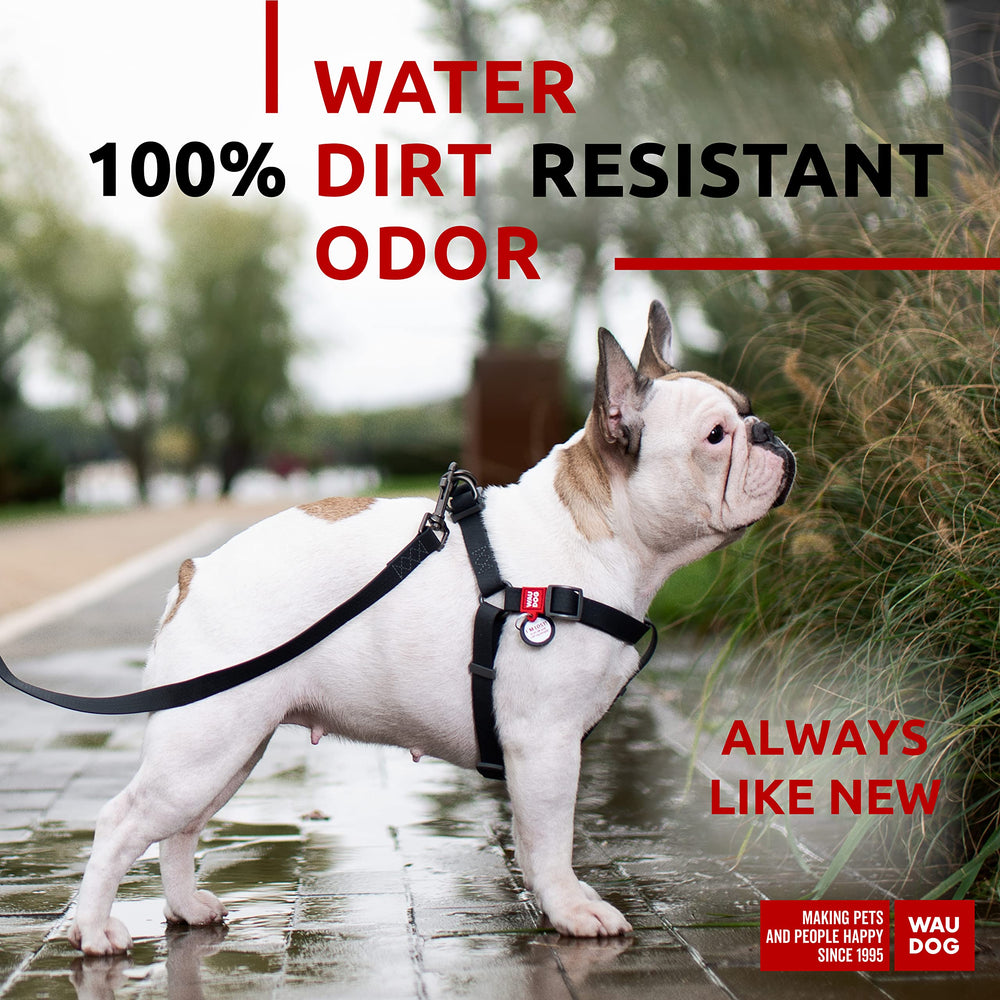 WAUDOG boucle-acier-durable, attache fiable pour chien actif.