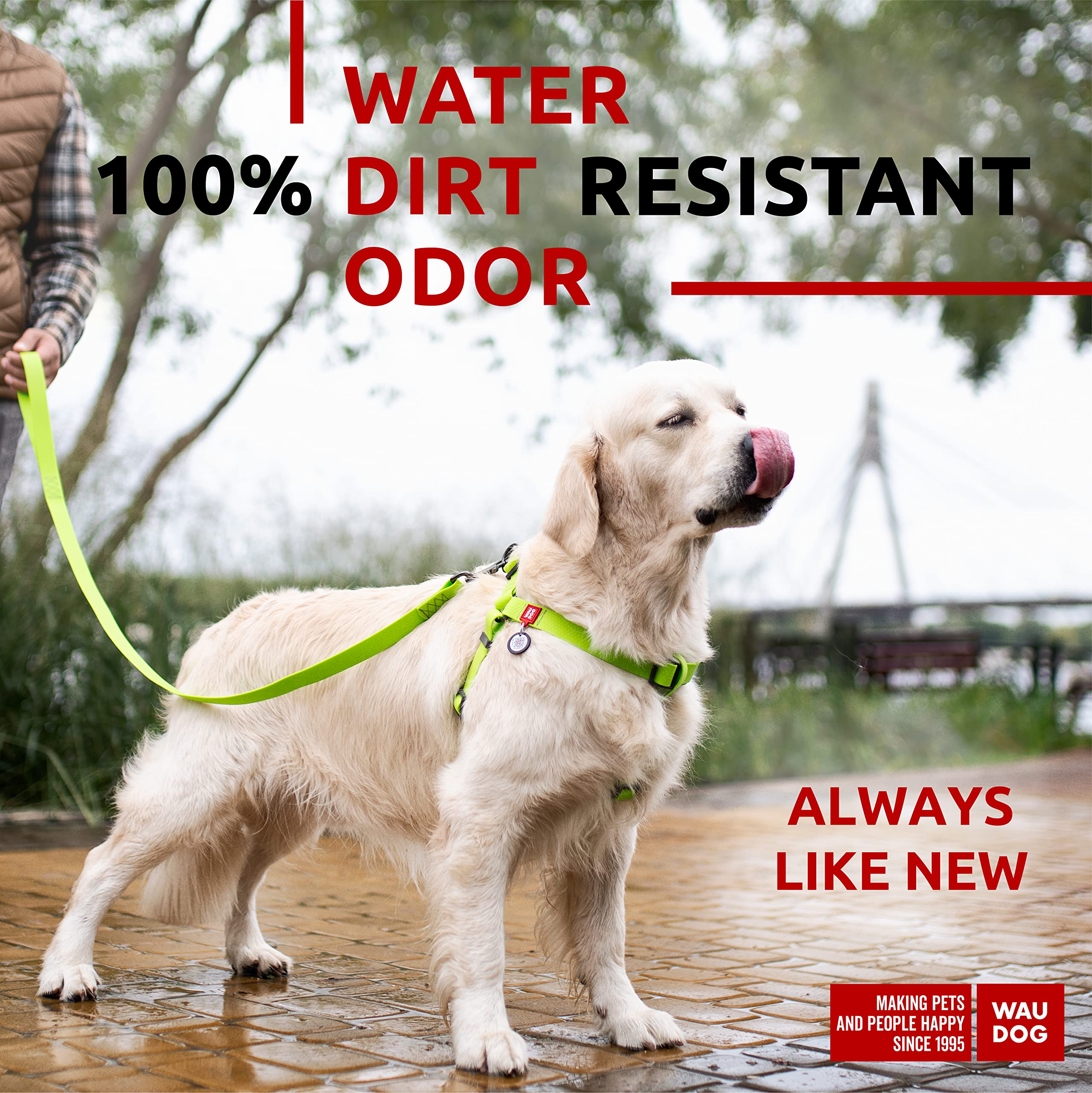 WAUDOG étiquette QR chien pour une identification rapide lors des sorties.