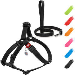 WAUDOG harnais-imperméable pour chien, confort et sécurité lors des sorties pluvieuses.