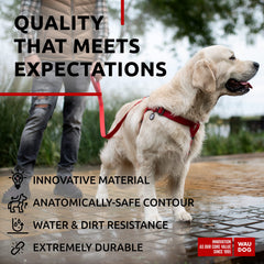 Tag QR WAUDOG intégré sur le harnais pour chien.