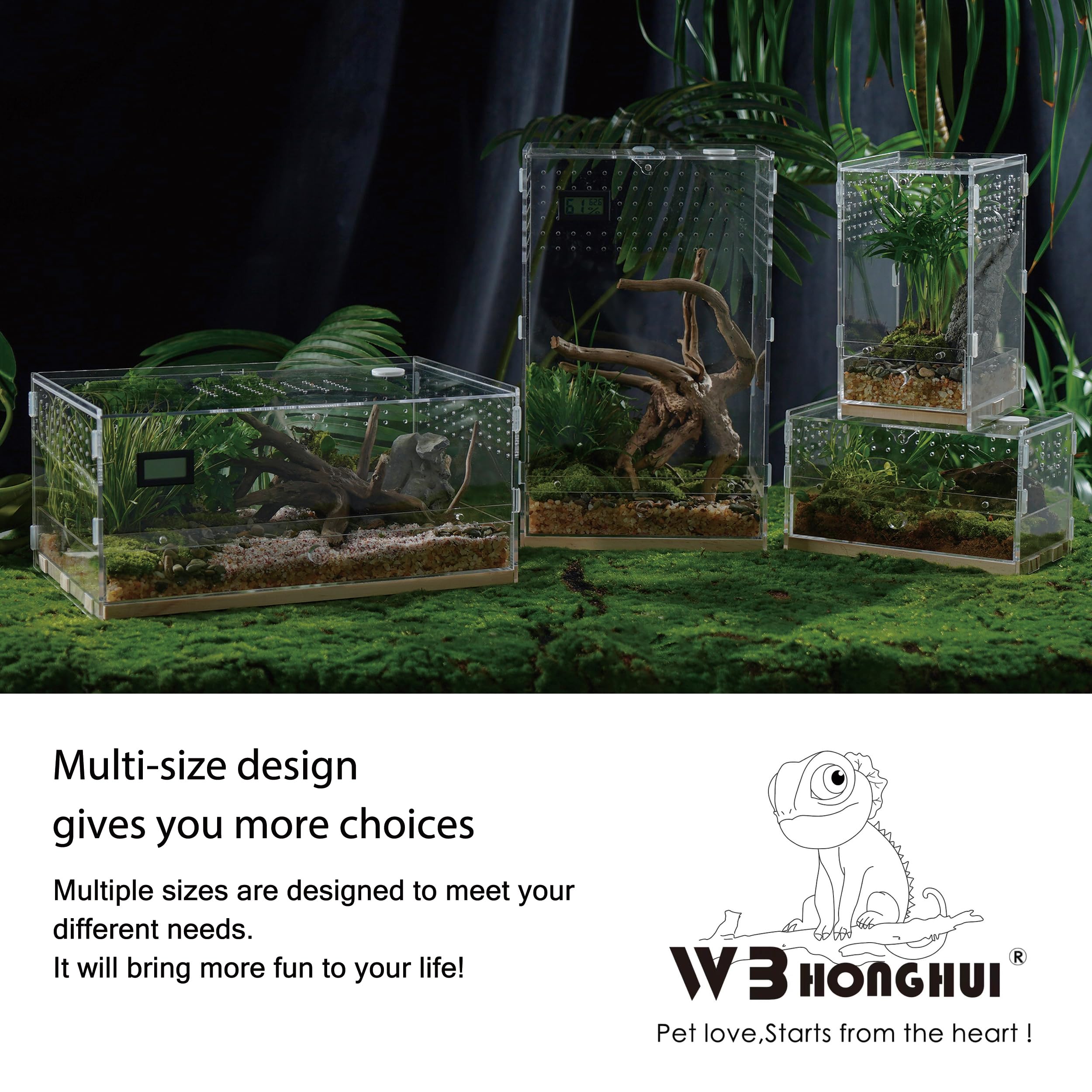 Parfait habitat pour reptiles et invertébres, comme araignées et grenouilles.