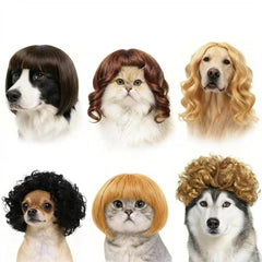 Perruque WCCDXGP style longues-ondes pour cosplay félin et chien