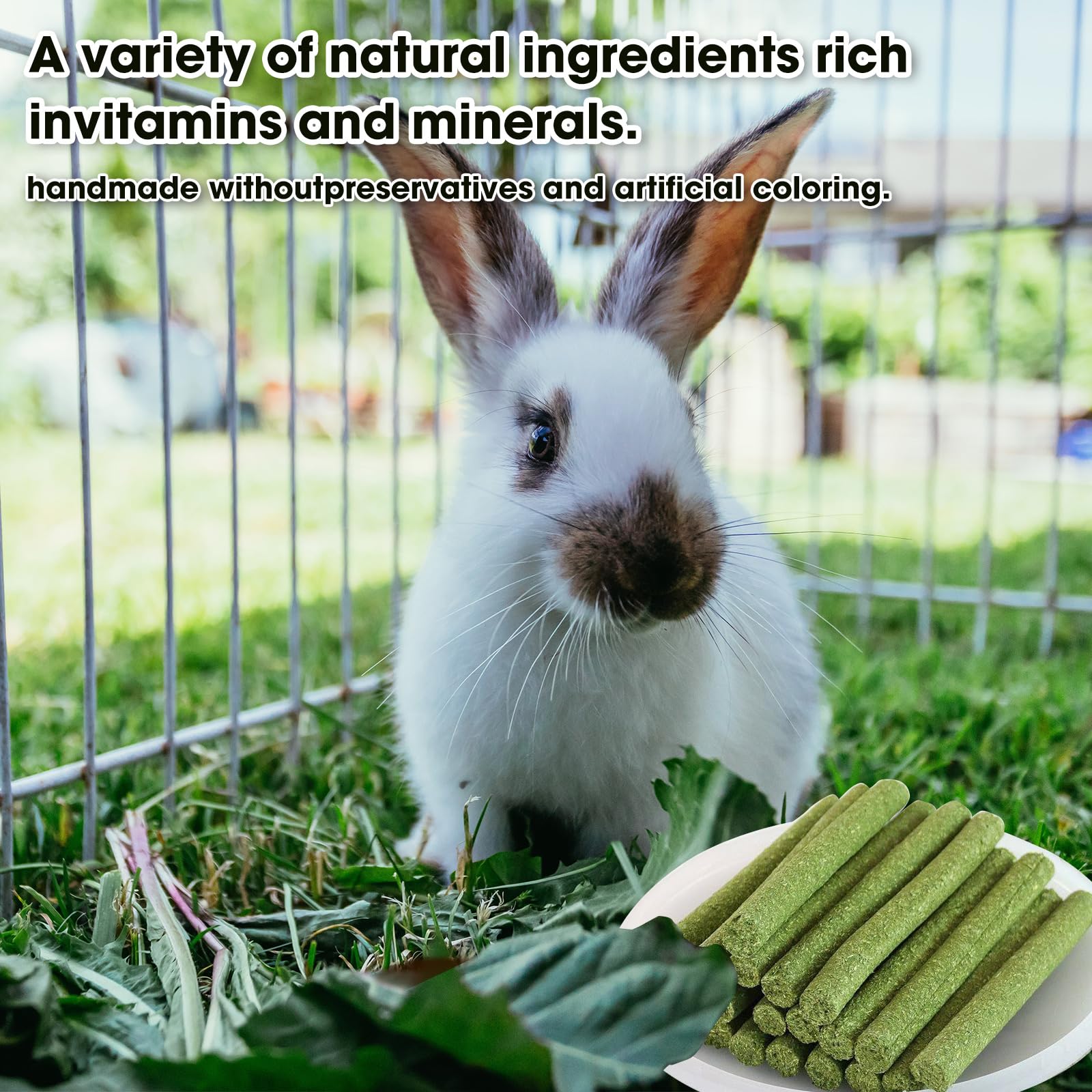 Bâtons polyvalents WDEFUN pour lapins, cochons d’Inde, chinchillas et hamsters.