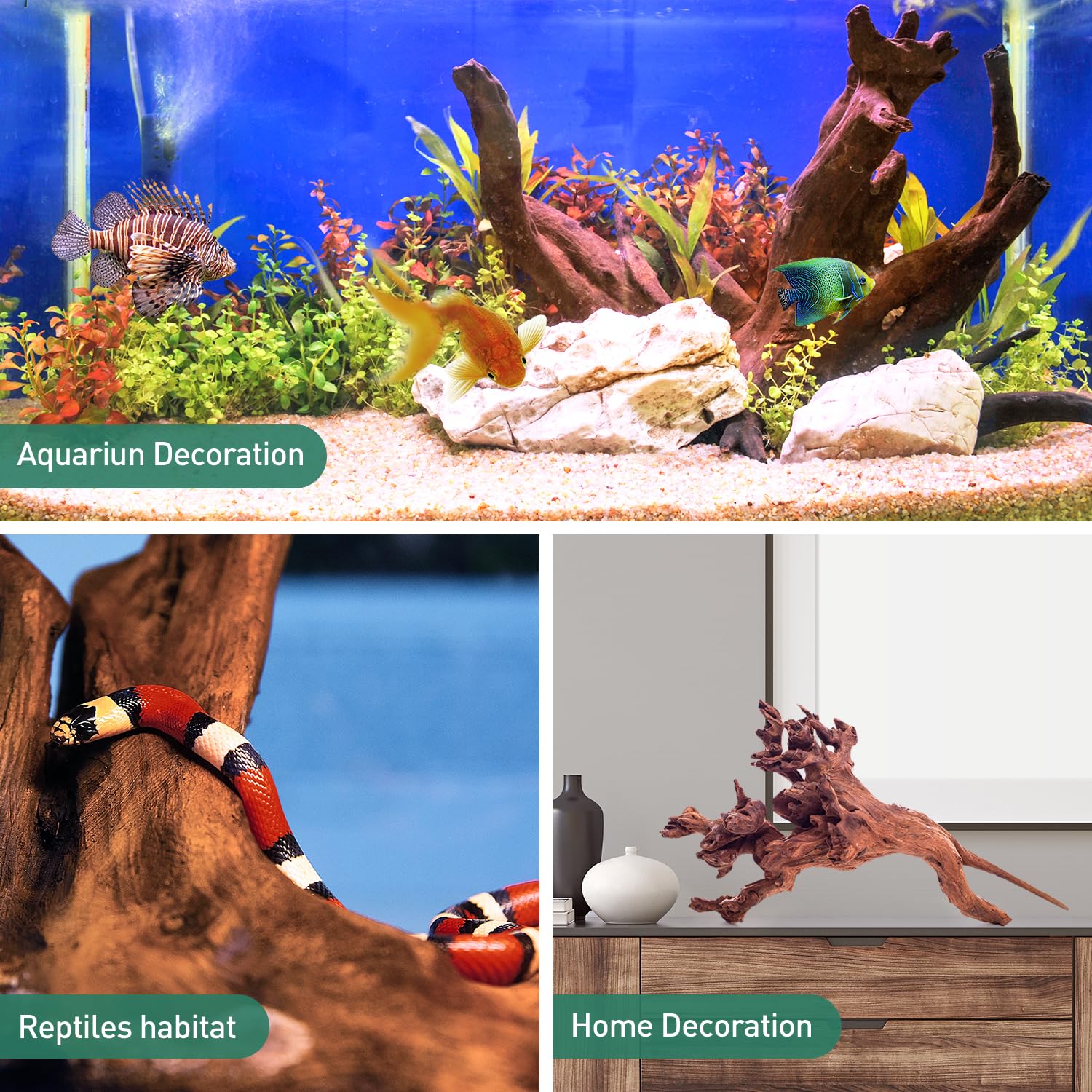 WDEFUN bois flotté naturel - cachettes Betta et crevettes.
