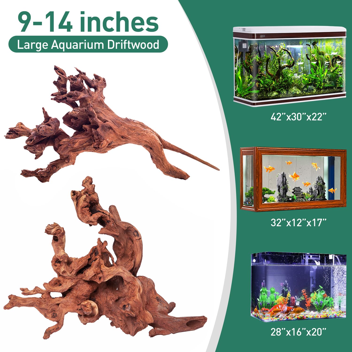 WDEFUN bois flotté naturel - décor terrarium reptiles, pièce robuste et durable.