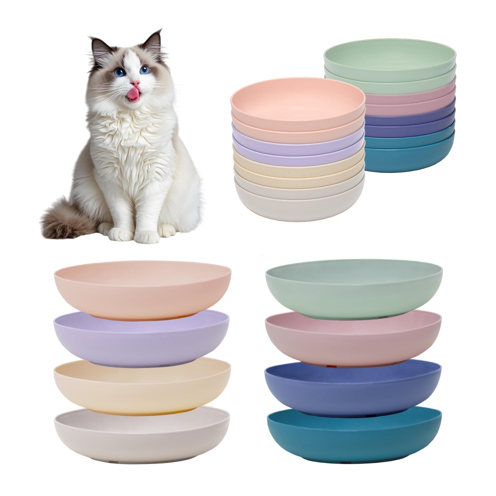 Assiettes WDZZHOT anti-fatigue des moustaches, ensemble seize pièces, stimule l'appétit.