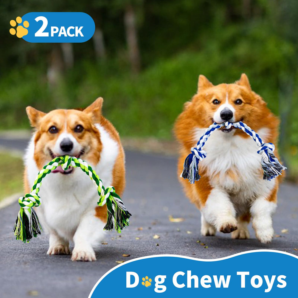 WDZZHOT cadeau parfait pour chien joueur, couleurs vives et divertissant.