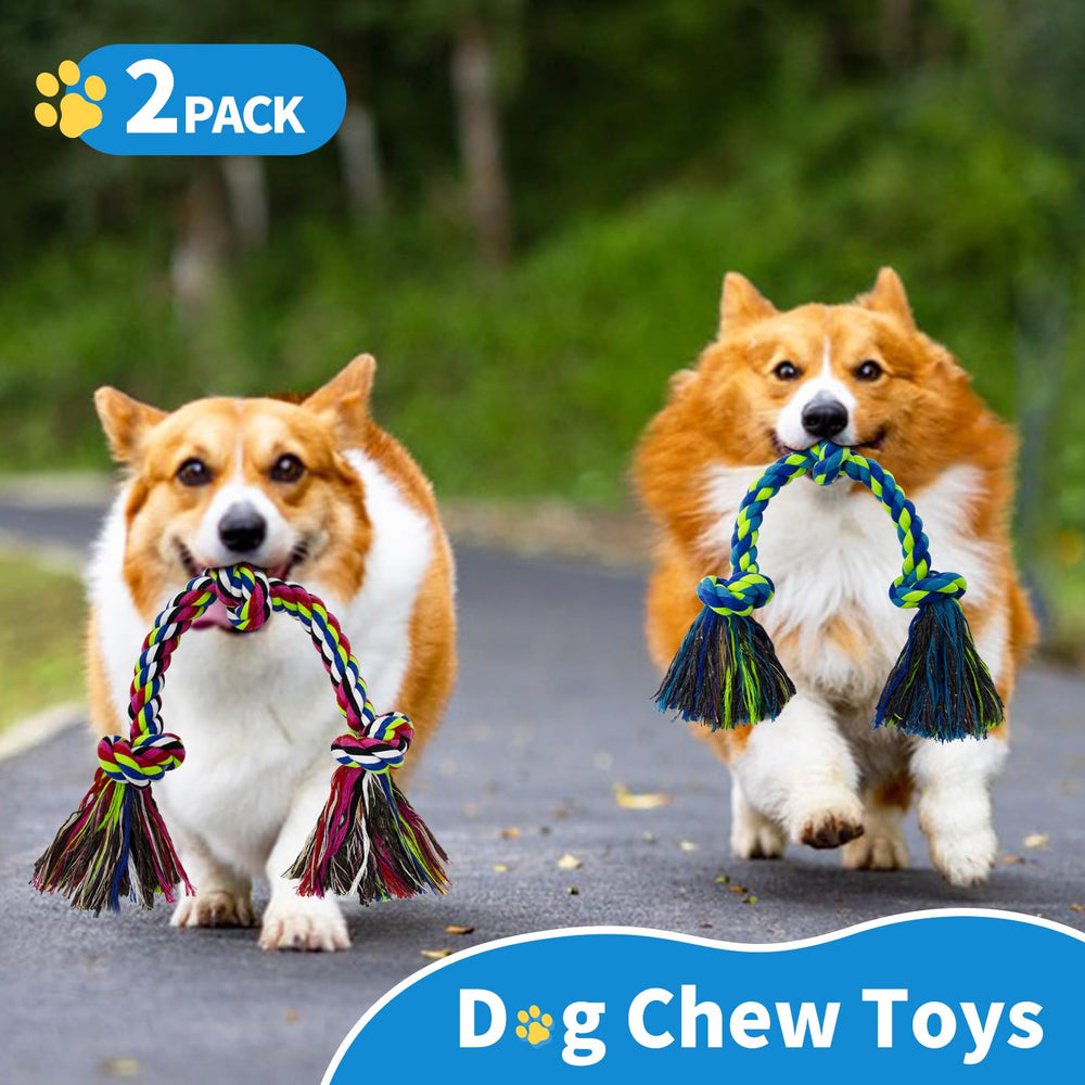 Cadeau coloré WDZZHOT pour chien, fête ou anniversaire