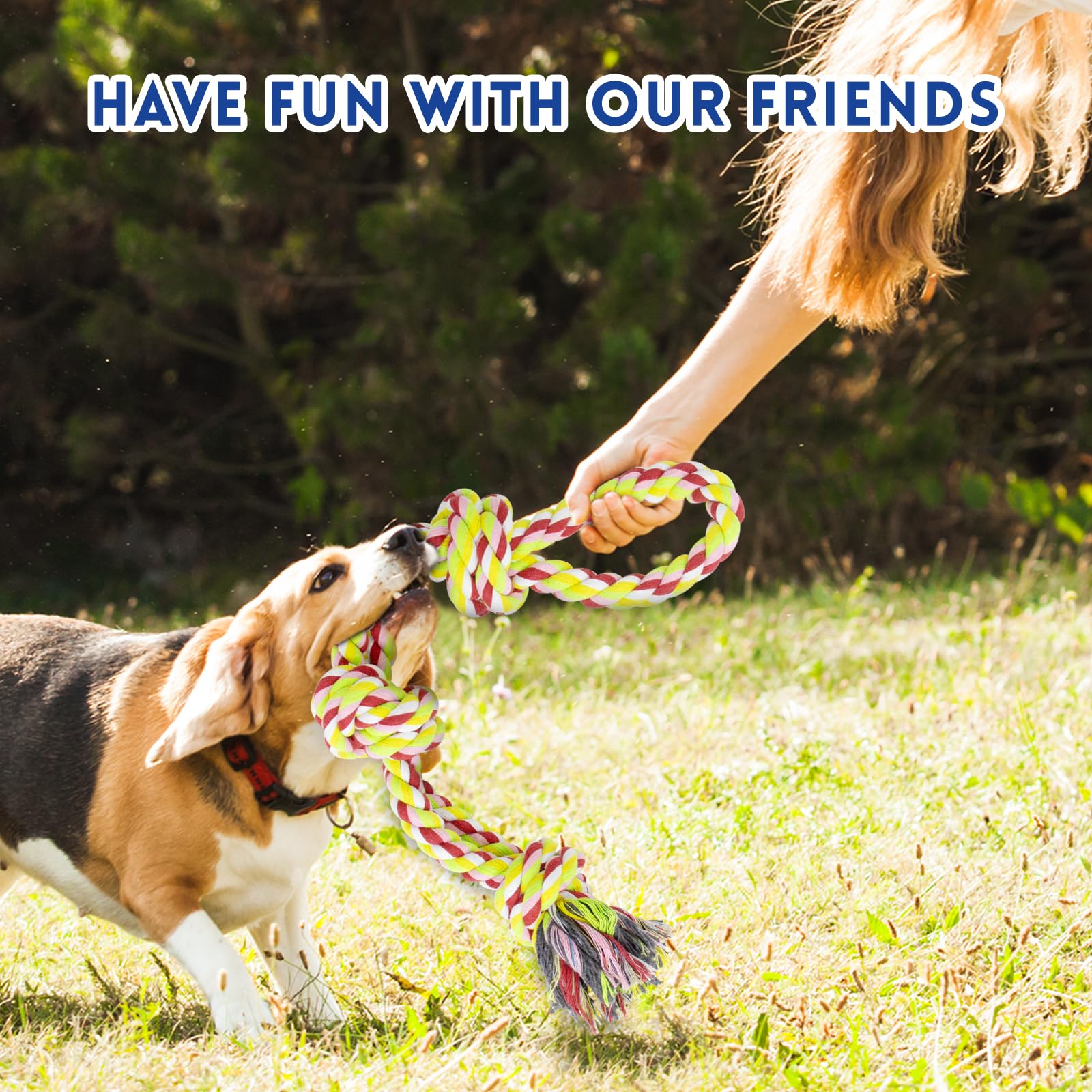 WDZZHOT, jouet corde cadeau chien coloré, divertissement sportif.