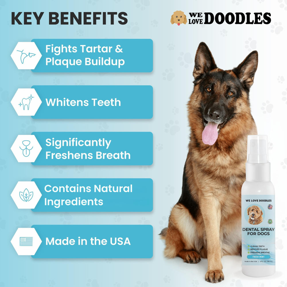We Love Doodles applicateur spray dentaire chien – utilisation simple sans brossage