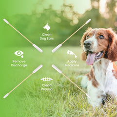 We Love Doodles application-douceur-oreilles: mode d'emploi simple et rassurant.