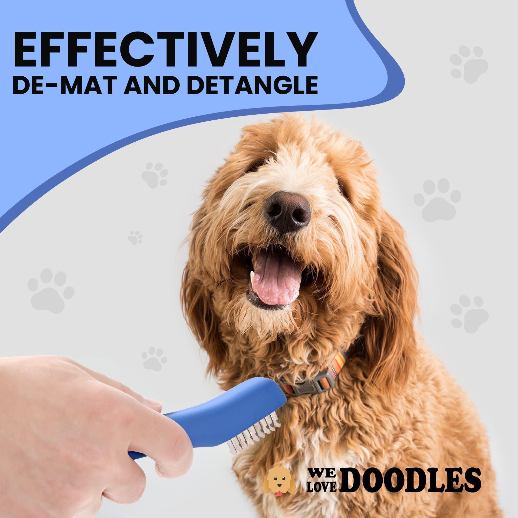 We Love Doodles séance de brossage sûre et confortable pour vous et votre chien.