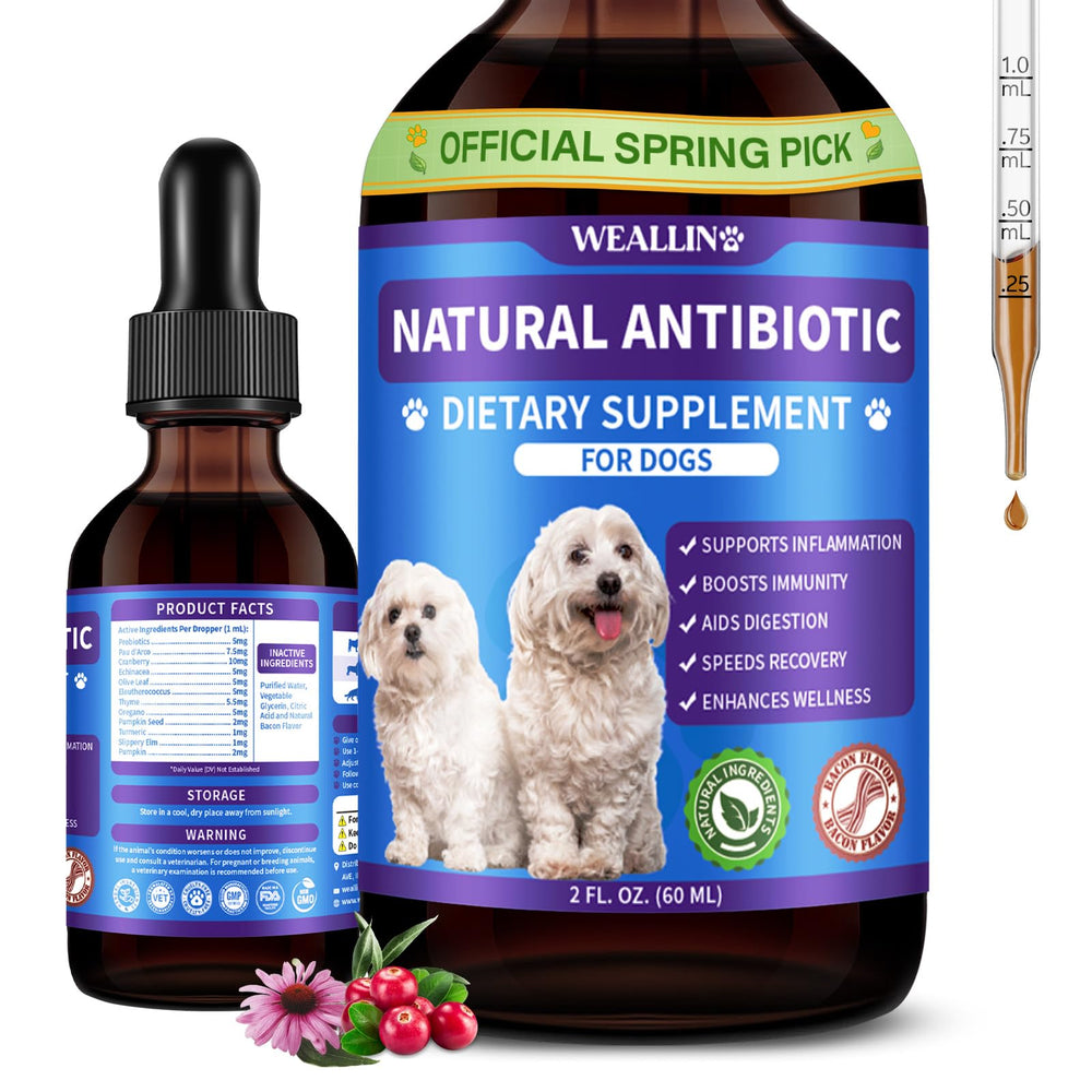 WeAllIn antibiotiques chien – bouteille, soutien potentiel du bien-être quotidien