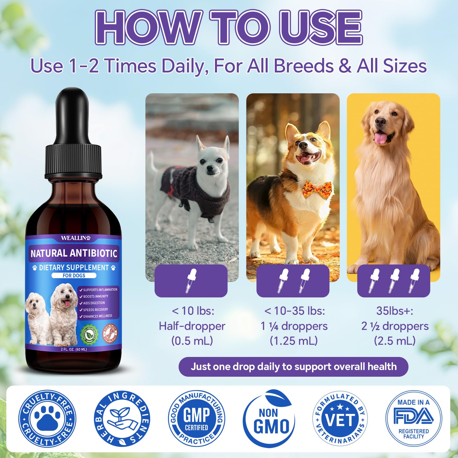 WeAllIn antibiotiques chien – doseur précis pour un dosage sûr