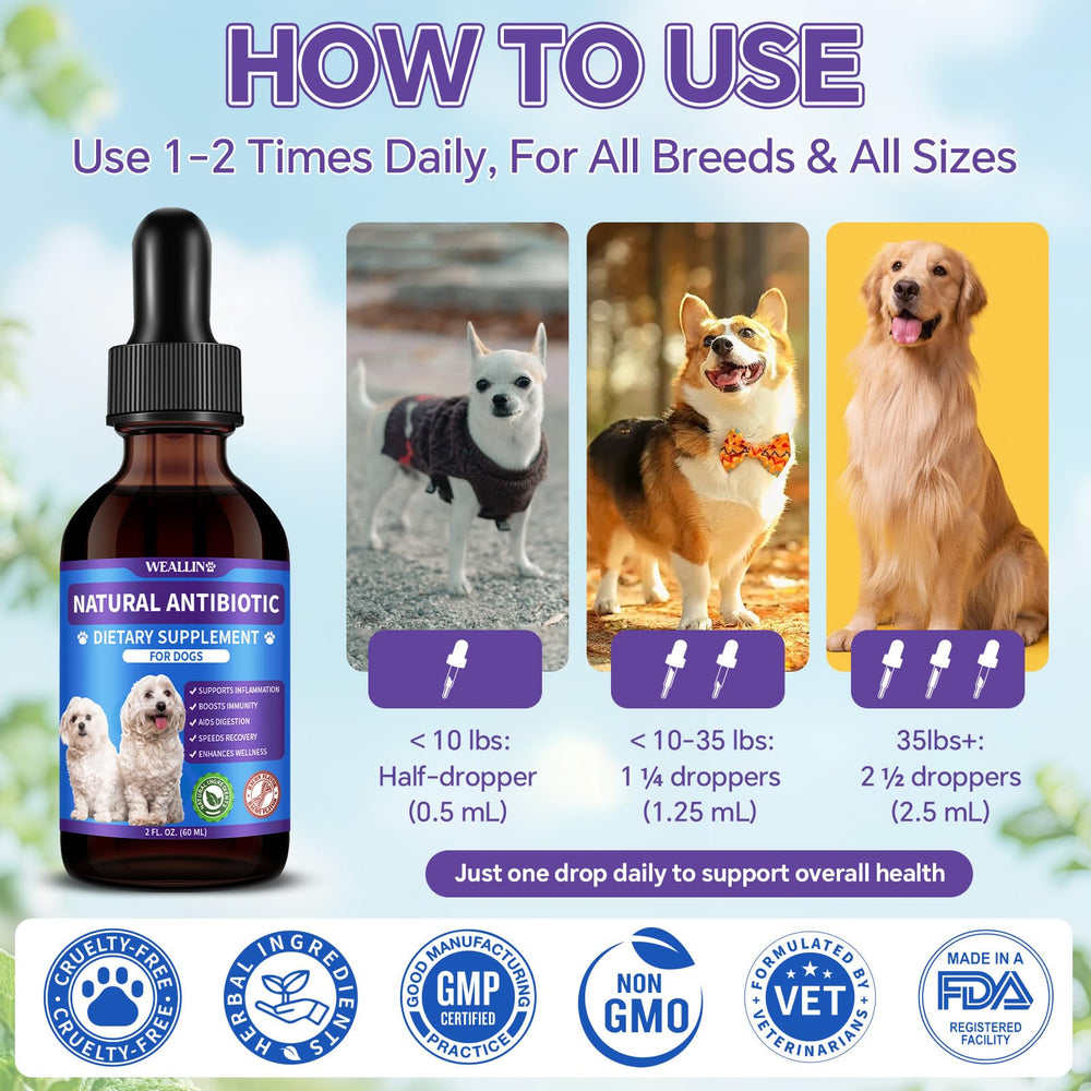 WeAllIn antibiotiques chien – doseur précis pour un dosage sûr