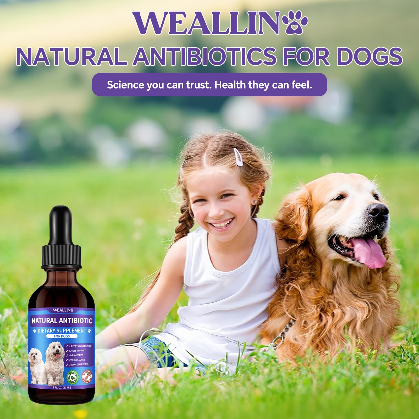 WeAllIn antibiotiques chien – emballage et flacon pratique pour le rangement