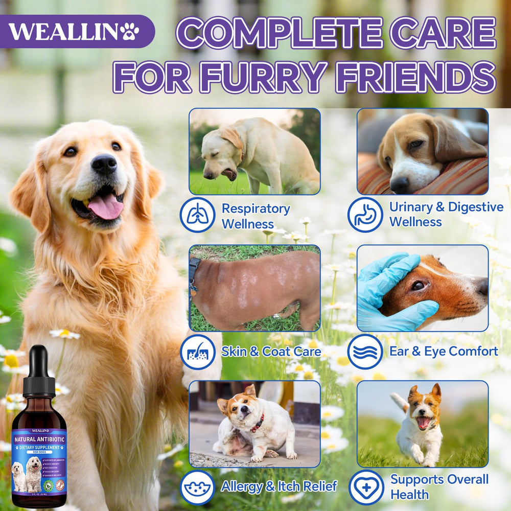 WeAllIn antibiotiques chien – étiquette claire pour dosage pratique