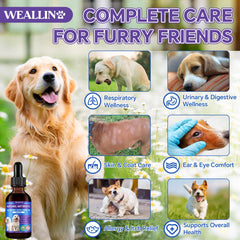 WeAllIn antibiotiques chien – étiquette claire pour dosage pratique