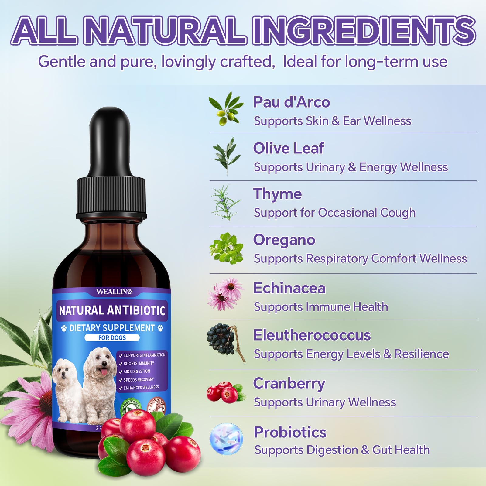 WeAllIn antibiotiques chien – goût bacon apprécié lors de l'alimentation