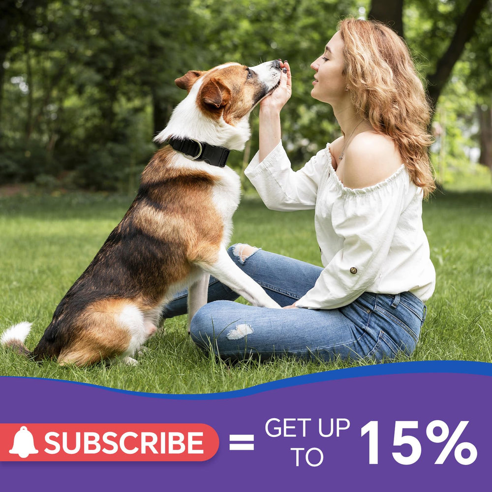 WeAllIn antibiotiques chien – ingrédients botaniques adaptés chiens sensibles